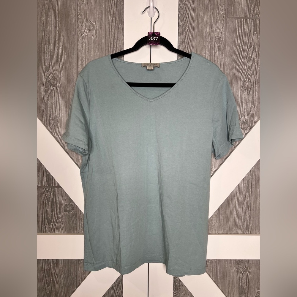 337. Charlie Paige Women's V-Neck T-Shirt in Light Blue L/XL all cotton